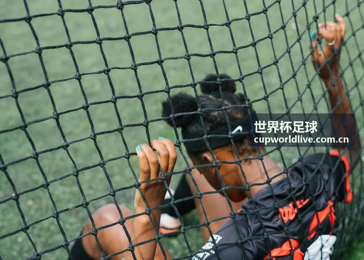 世界杯足球精彩集锦回放视频